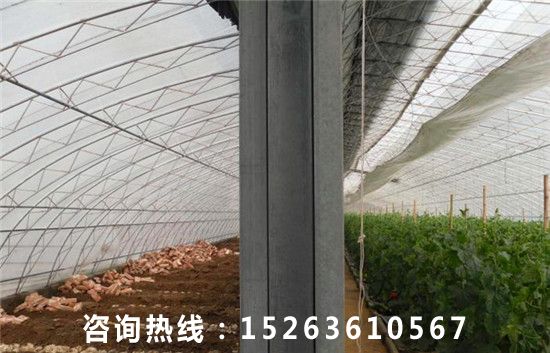 哈密地區(qū)新型全鋼架雙面式日光溫室